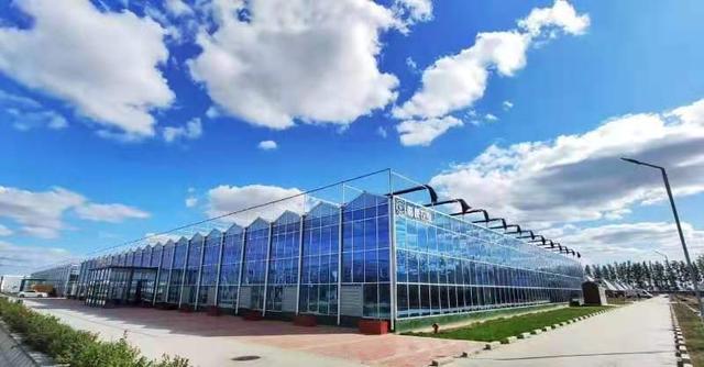 濰坊國家現(xiàn)代農(nóng)業(yè)產(chǎn)業(yè)園勇當(dāng)創(chuàng)新提升&ldquo;濰坊模式&rdquo;排頭兵