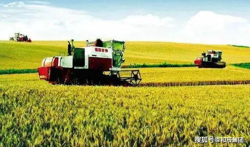 和辰咨詢 中央撥款45億 托管農(nóng)業(yè) 上升為國家重點支持項目