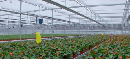 泰州:建設(shè)農(nóng)業(yè)強市 在推進(jìn)農(nóng)業(yè)現(xiàn)代化上走在前