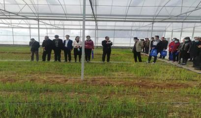 開展&ldquo;訂單式&rdquo;科技服務(wù) 助力鄉(xiāng)村振興產(chǎn)業(yè)發(fā)展