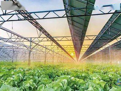 現(xiàn)代種業(yè)、鄉(xiāng)村新型服務(wù)業(yè)&hellip;國家鄉(xiāng)村振興局鼓勵社會資本投資這些涉農(nóng)產(chǎn)業(yè)!