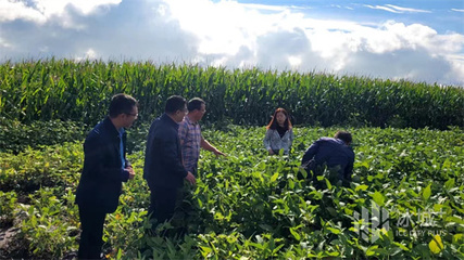 &ldquo;把脈開方&rdquo;促生產|市科協專家深入田間開展種植科技志愿服務