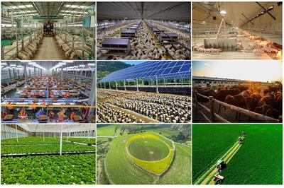 2023年慶陽農業(yè)農村工作十大成效