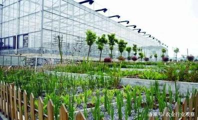 都市農業(yè)未來在哪里?科技+商業(yè)