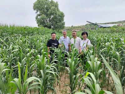 經作所三區(qū)特派團在渾源縣召開對接會并開展技術服務