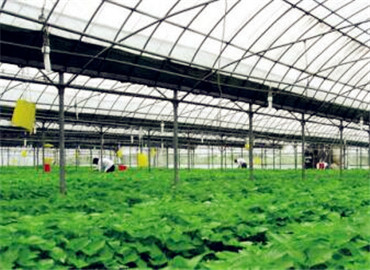 未來農(nóng)業(yè)發(fā)展趨勢(shì)--互聯(lián)網(wǎng)+生態(tài)農(nóng)業(yè)