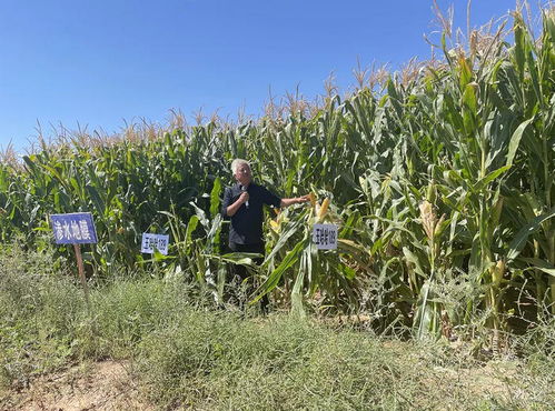 縣發(fā)改科技局開展農(nóng)業(yè)科技試驗(yàn)示范成果觀摩暨特派員交流學(xué)習(xí)現(xiàn)場(chǎng)會(huì)