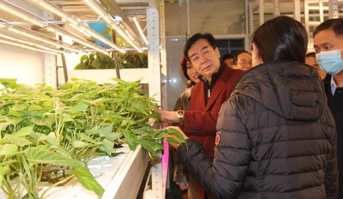 政府 旅游 慈善多位行業領導蒞臨上蔬源參觀考察