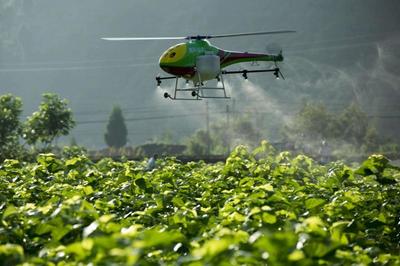 重磅|看京東、金少江、百果園、順豐如何淘金智慧農(nóng)業(yè)