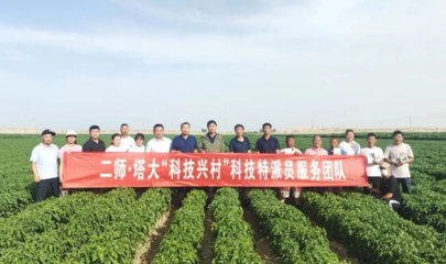 【本地動態(tài)】塔里木大學(xué)科技特派員團隊來和碩縣開展科技服務(wù)