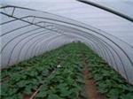 玻璃溫室當(dāng)選京豐溫室大棚建設(shè)|承德溫室大棚-石家莊京豐農(nóng)業(yè)科技提供玻璃溫室當(dāng)選京豐溫室大棚建設(shè)|承德溫室大棚的相關(guān)介紹、產(chǎn)品、服務(wù)、圖片、價格養(yǎng)殖大棚、溫室大棚建設(shè)、大棚設(shè)計安裝、蔬菜大棚建設(shè)、智能溫室大棚建設(shè)、大棚骨架建設(shè)、