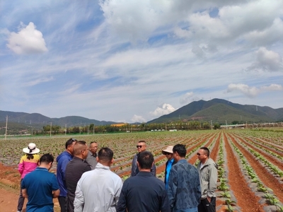 昆明市種子管理站聯合昆明市烤煙生產辦公室到尋甸縣開展科技增糧服務工作