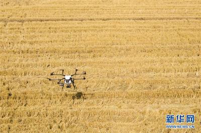 農活兒也能很新潮