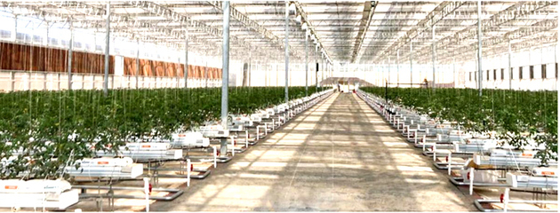 南昌紅谷灘元宇宙VR數字農業示范基地