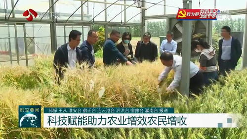 問(wèn)題不出田 江蘇積極開(kāi)展農(nóng)業(yè)科技服務(wù)活動(dòng)