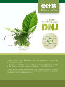 銘旺農業科技 用心打造純天然綠色食品