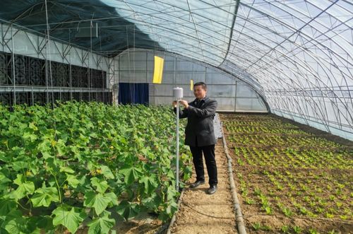 一年之計在于春，農氣聯手促增收：農業科技服務的創新與展望