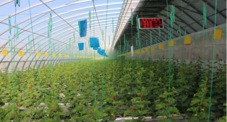 聚焦農(nóng)業(yè)科技服務(wù) 助推現(xiàn)代農(nóng)業(yè)發(fā)展的關(guān)鍵引擎