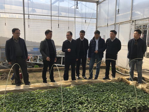 四川省農(nóng)業(yè)科學(xué)院牟錦毅院長赴西昌市與米易縣調(diào)研 深化科技幫扶助力鄉(xiāng)村振興